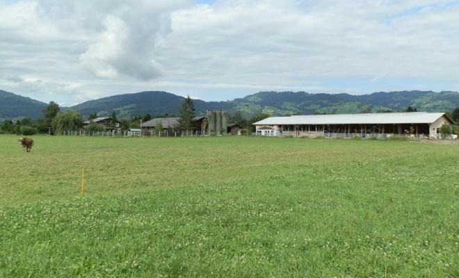 Villa Steigmatt Bauernhof- Erlebnis Montlingen Exterior foto
