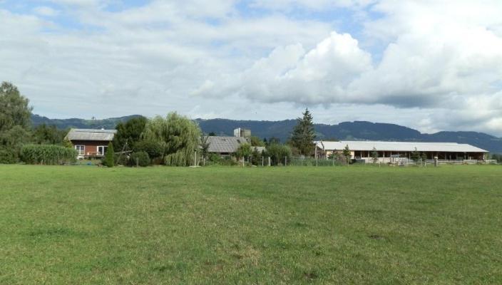 Villa Steigmatt Bauernhof- Erlebnis Montlingen Exterior foto